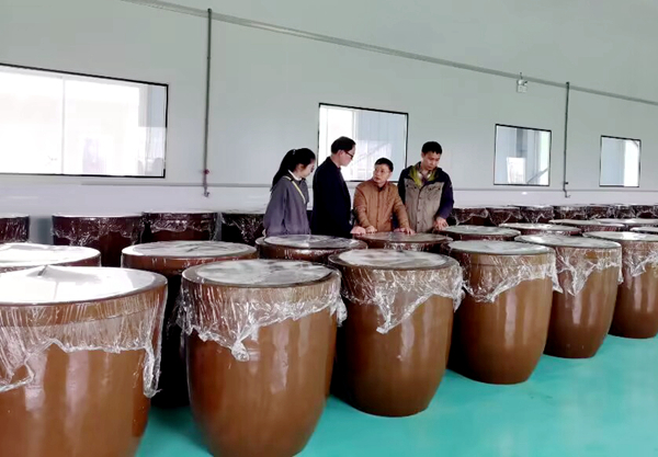 加工所科技人员赴崇左江州区开展酸菜加工技术服务