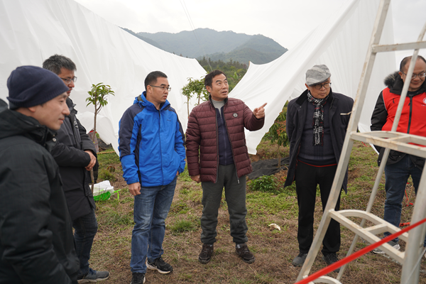 园艺研究所科技人员赴桂林开展荔枝“抗低温、防冰冻、防灾减灾害”技术服务