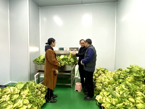 加工所科技人员赴江南区酸菜加工企业开展生产技术指导